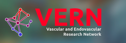 Vascular and Endovascular Research Network