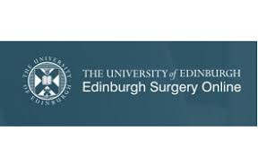 ESO Surgical Education and Training Prize Session