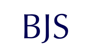 BJS Systematic Review Prize