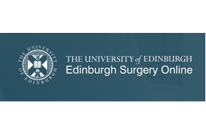 ESO Surgical Education Prize